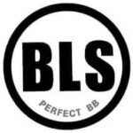 BLS PERFECT BBS