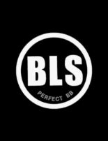 bls airsoft (gungame.shop)