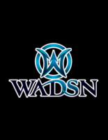 wadsn airsoft (gungame.shop)